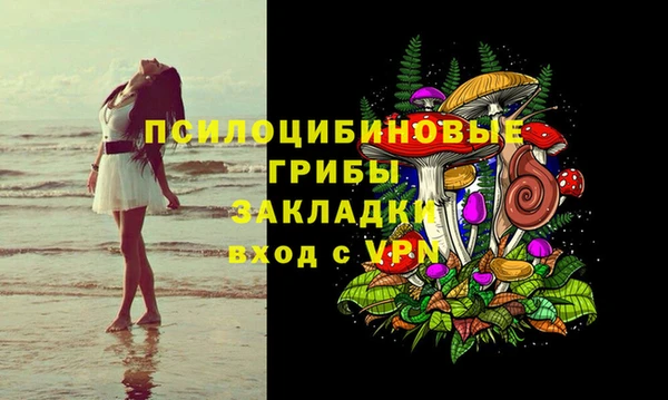 твердый Арсеньев