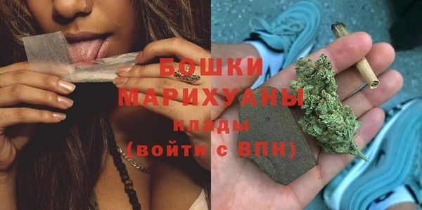 твердый Арсеньев